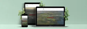 Case Study: Transforming Ariston Holdings’ Website into a Modern Digital Platform
